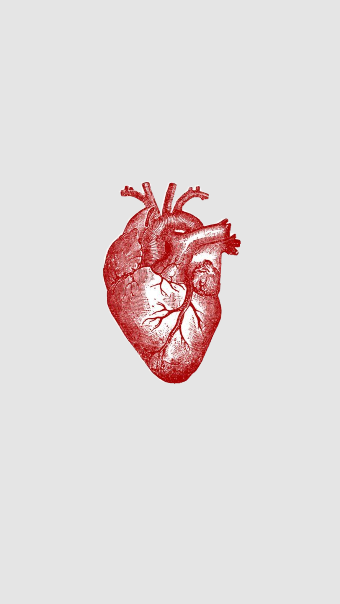 Red anatomical heart illustration on a pale gray background, symbolizing emotion